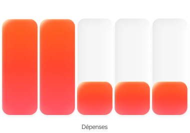 Graphique des dépenses